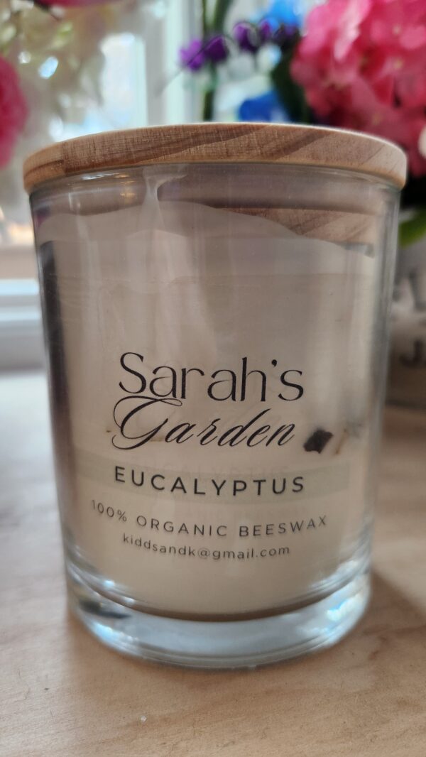 Eucalyptus candle